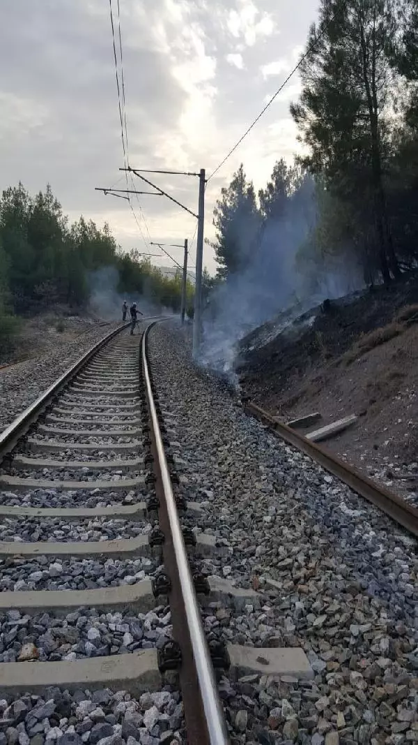 Son dakika haberi: Kütahya'da orman yangını; 4 farklı noktada alevler büyüyor (2)