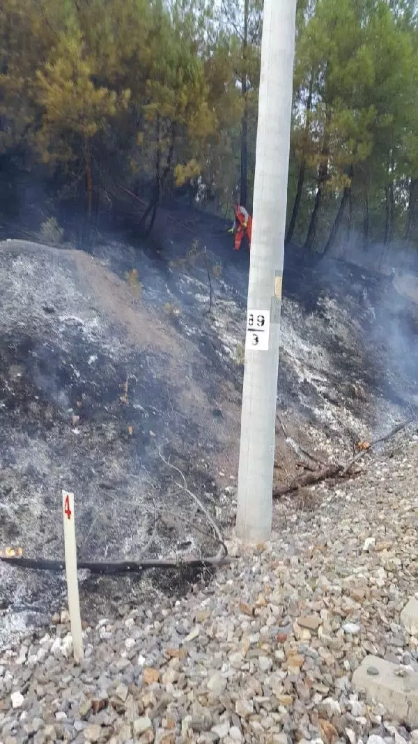 Son dakika haberi: Kütahya'da orman yangını; 4 farklı noktada alevler büyüyor (2)