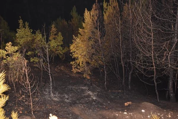 Son dakika haberi: Kütahya'da orman yangını; 4 farklı noktada alevler büyüyor (2)