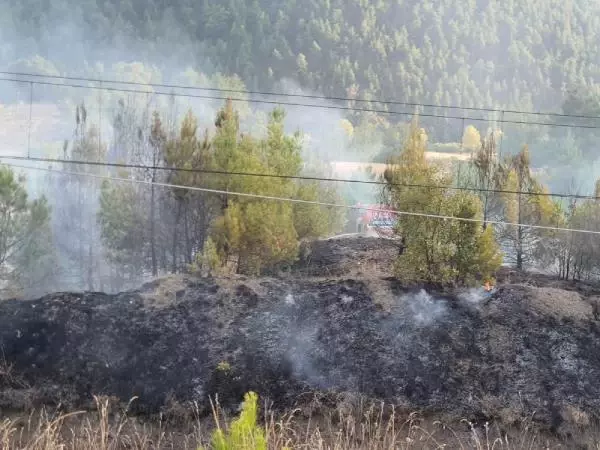 KÜTAHYA'DA ORMAN YANGINI; 4 FARKLI NOKTADA ALEVLER BÜYÜYOR