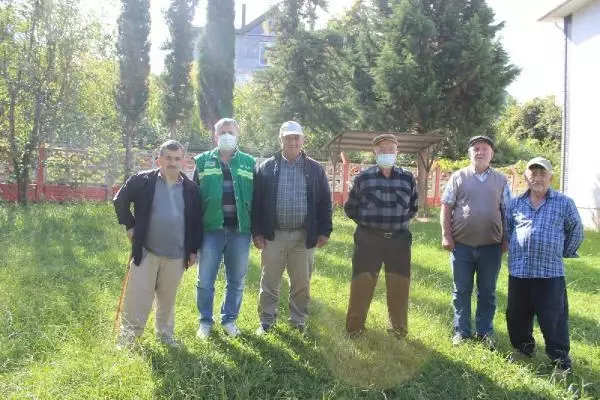 Son dakika haberleri | Mahallede, kurtların saldırısında 3 ayda 13 hayvan öldü