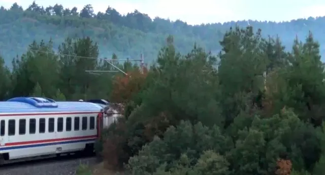 Son dakika haber | Tavşanlı'da demiryolu güzergahında orman yangını