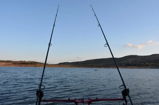 En büyük balığı tutmak için kıyasıya yarıştılar