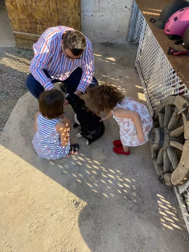 Bodrum Adliyesi sokak köpeklerini sahiplendi