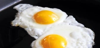 Bu yumurta mutlu bir tavuktan mı?