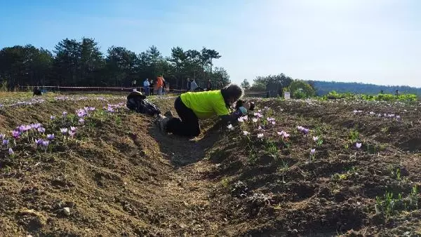 Dünya mirası Safranbolu'yu fotoğrafladılar
