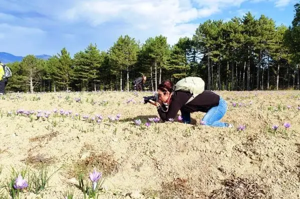 Dünya mirası Safranbolu'yu fotoğrafladılar