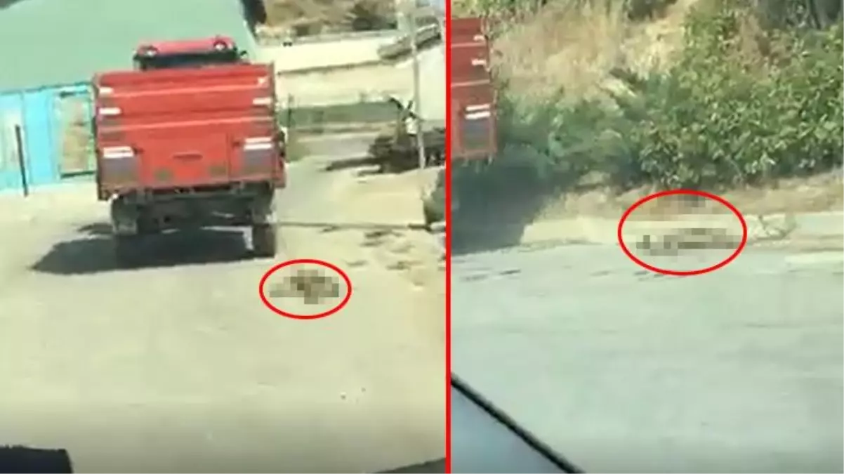 Traktörün arkasına bağladığı köpeği metrelerce sürükledi