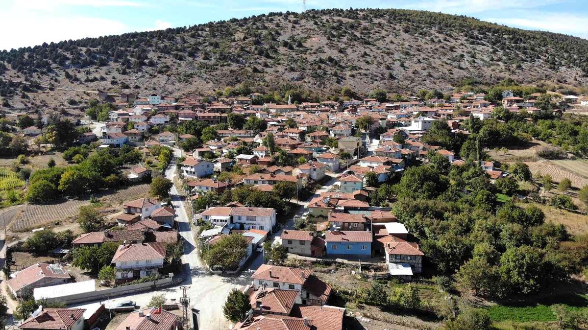 İlginç tedavi yöntemi, Sorgun köyünü ünlü etti! Traktör römorkunda böbrek taşı döküyorlar