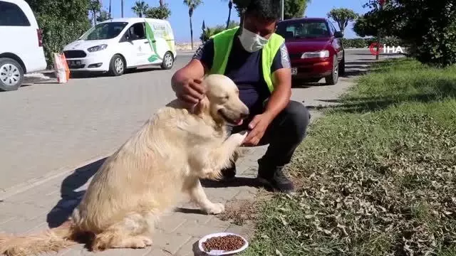 Limon Çiçeği ekiplerinden sokakta yaşayan can dostları için yoğun mesai