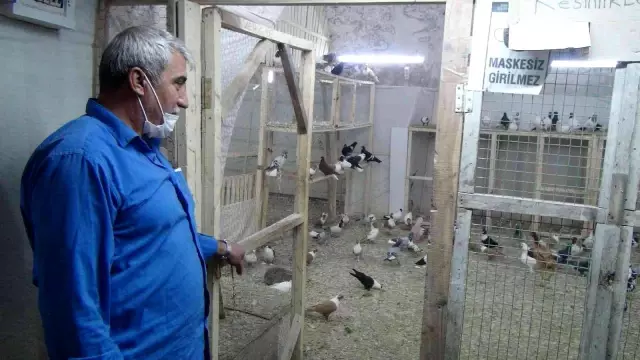 Ömrünü kuşlara adadı