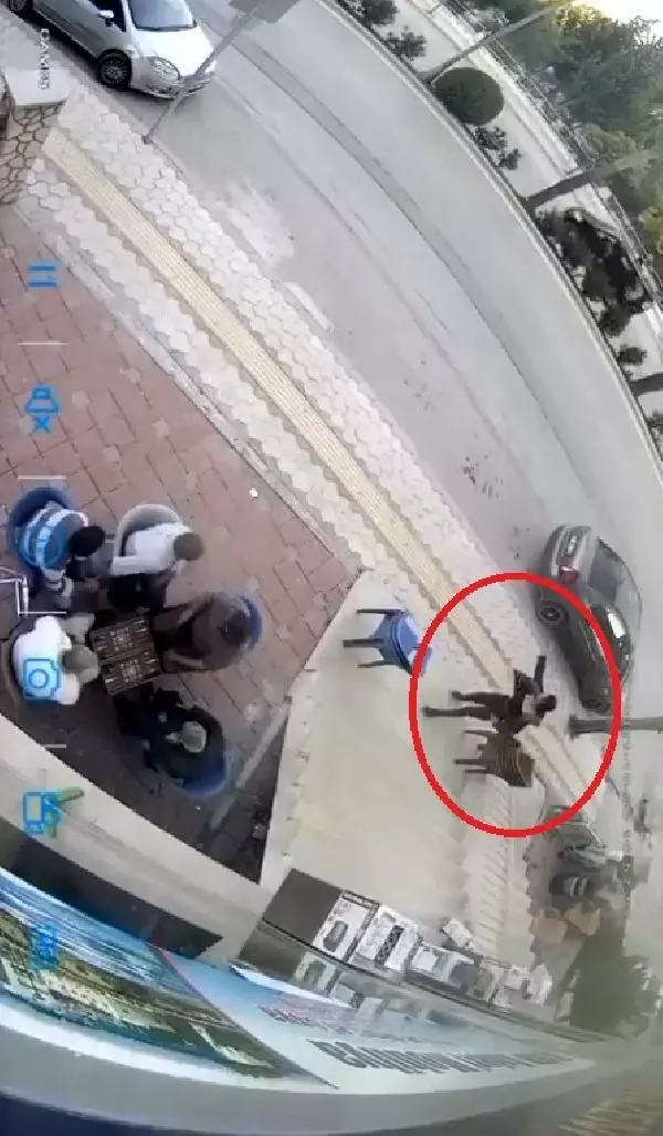 TAVLA OYNAYANLARIN YANINA SIĞINDI, MÜDAHALE EDİLMEYİNCE SATIRLI SALDIRIDAN KAÇAMADI