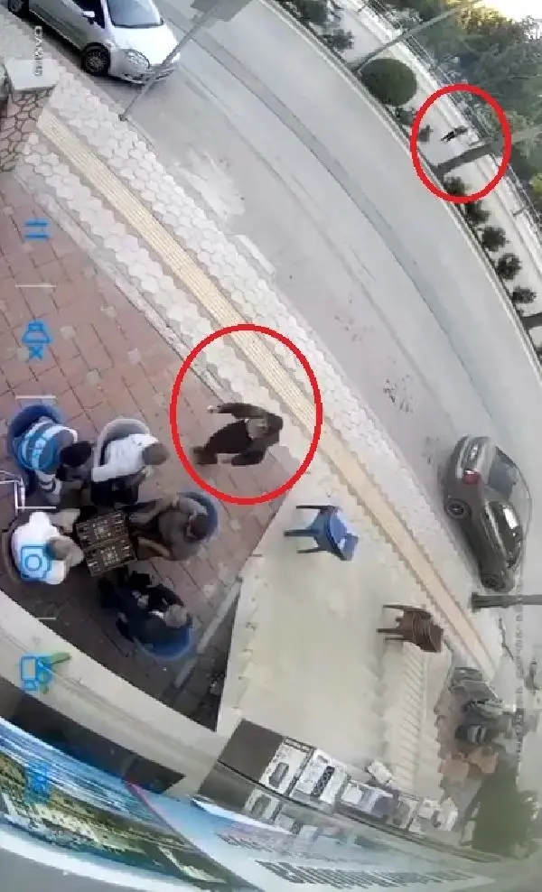 TAVLA OYNAYANLARIN YANINA SIĞINDI, MÜDAHALE EDİLMEYİNCE SATIRLI SALDIRIDAN KAÇAMADI