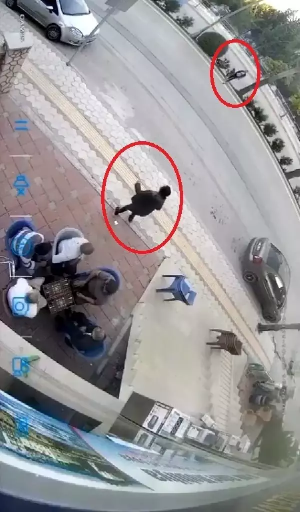 TAVLA OYNAYANLARIN YANINA SIĞINDI, MÜDAHALE EDİLMEYİNCE SATIRLI SALDIRIDAN KAÇAMADI