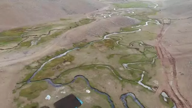 Ağrı'nın volkanik platolarındaki mendereslerde sonbahar güzelliği