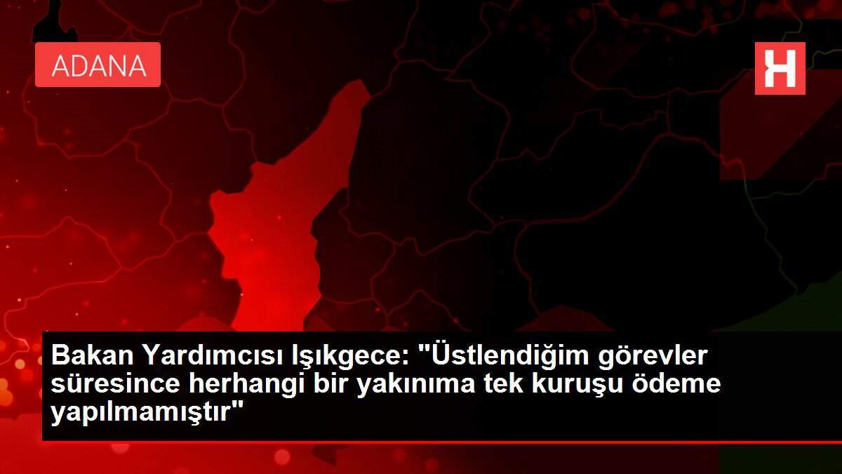 Bakan Yardımcısı Işıkgece: 'Üstlendiğim görevler süresince herhangi bir yakınıma tek kuruşu ödeme yapılmamıştır'