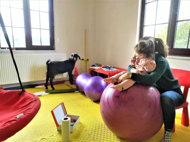 Özel eğitim merkezinin maskotu oldu...Sınıflara dalıp derslere giren keçi çocukların ilgi odağı oldu