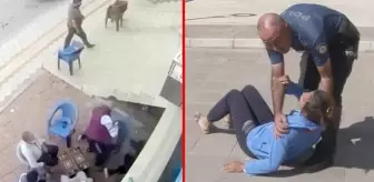 Kendisine satırla saldıran sevgilisi tutuklanmasın diye yerlere yatıp feryat etti