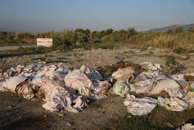 Kuş gözlemcileri Mileyha Sulak Alanı'nın kirletilmesine tepki gösterdi