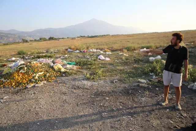 Kuş gözlemcileri Mileyha Sulak Alanı'nın kirletilmesine tepki gösterdi