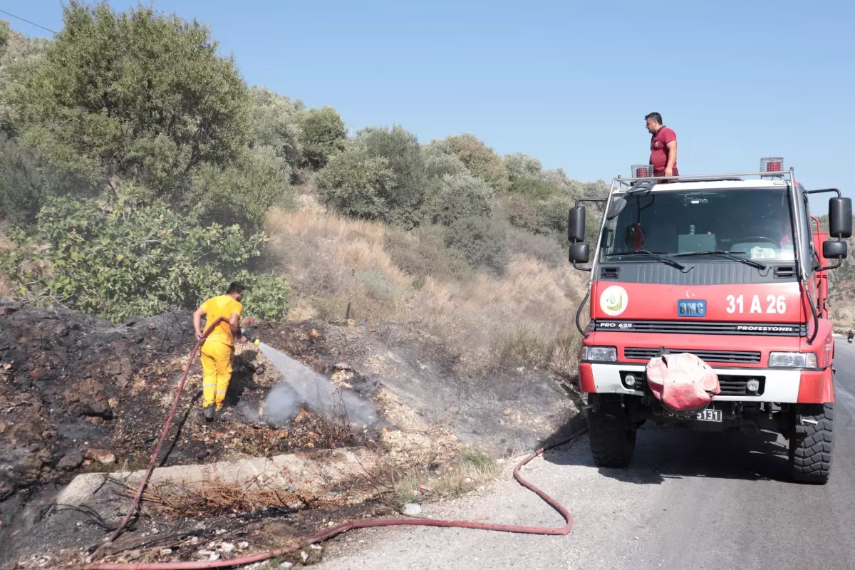 Hatay'da zeytinlik alanda çıkan yangın söndürüldü