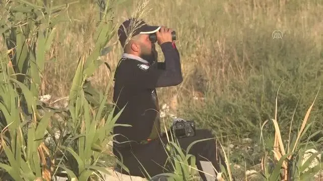 Kuş gözlemcileri Mileyha Sulak Alanı'nın kirletilmesine tepki gösterdi