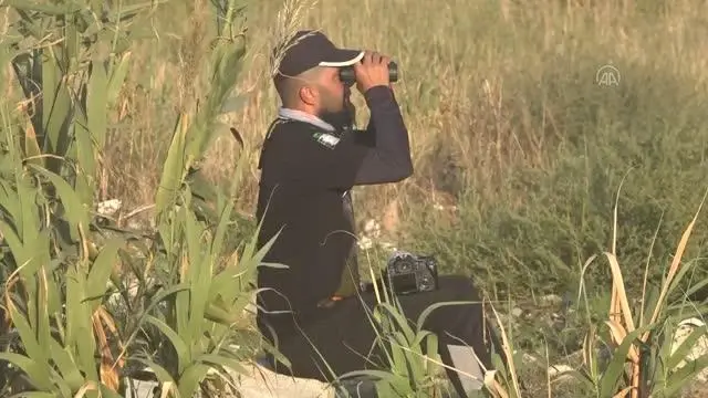 Kuş gözlemcileri Mileyha Sulak Alanı'nın kirletilmesine tepki gösterdi
