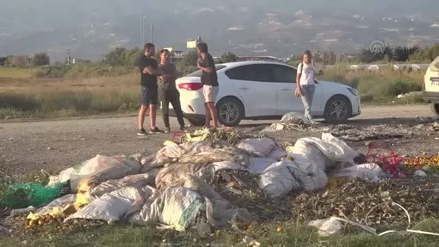 Kuş gözlemcileri Mileyha Sulak Alanı'nın kirletilmesine tepki gösterdi