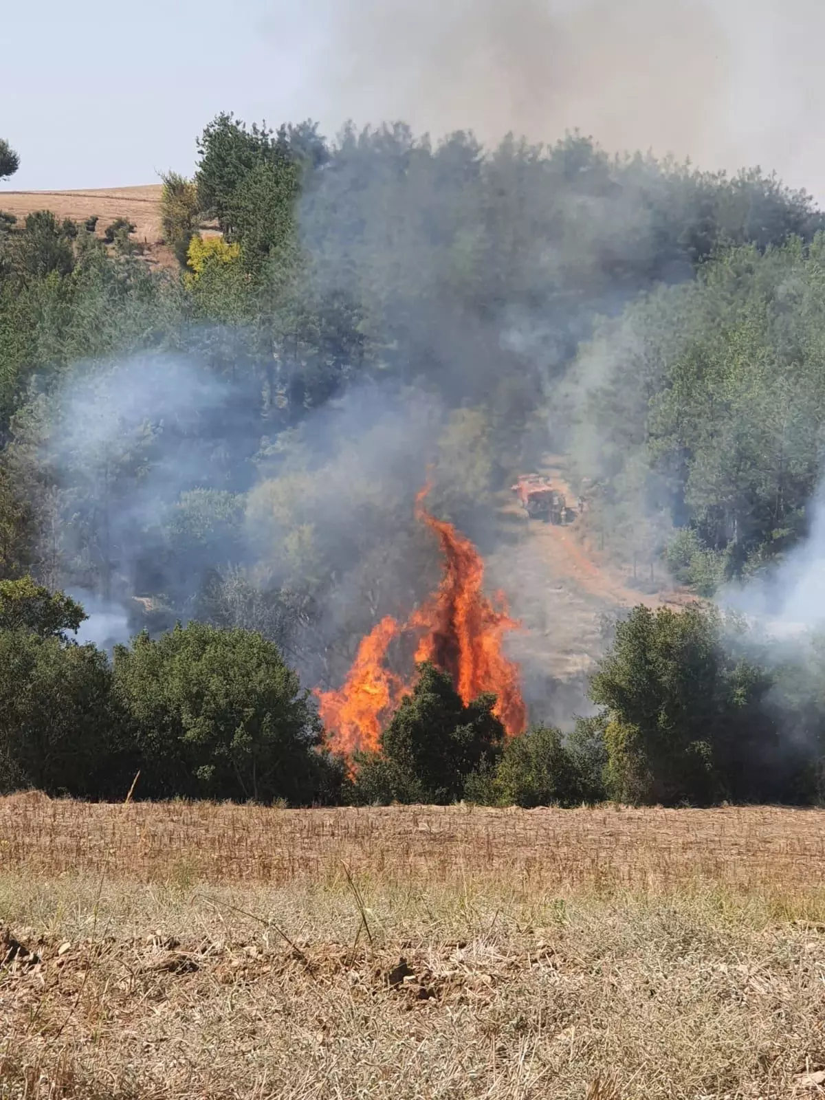 Son dakika! Osmaniye'de çıkan orman yangını kontrol altına alındı