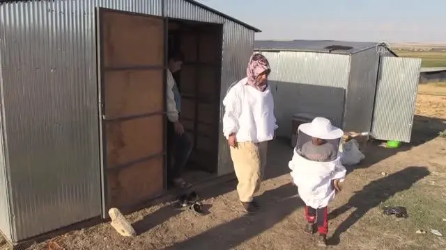 ŞANLIURFA - Şanlıurfa'nın bal üretimi TKDK desteğiyle artıyor