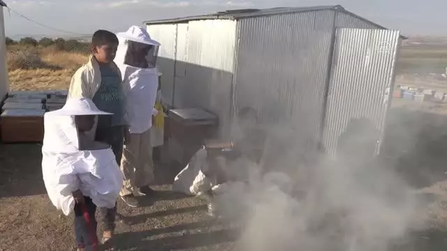 ŞANLIURFA - Şanlıurfa'nın bal üretimi TKDK desteğiyle artıyor
