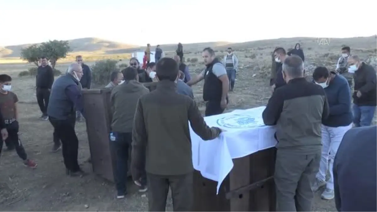 Yaban koyunlarında yarım asırlık emeğin meyveleri alınıyor