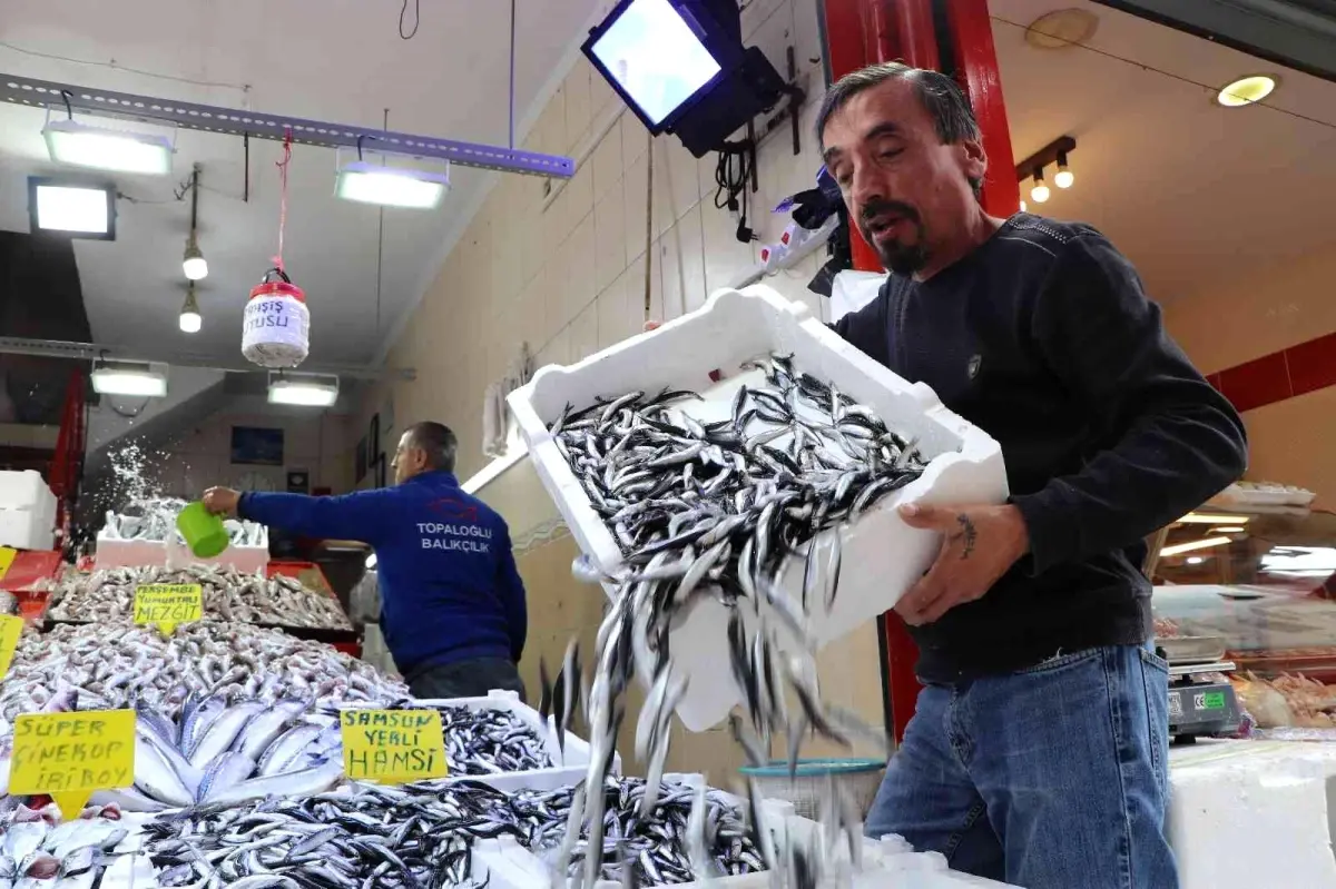 1 hafta önce 40 TL olan hamsi 15 TL'ye kadar düştü