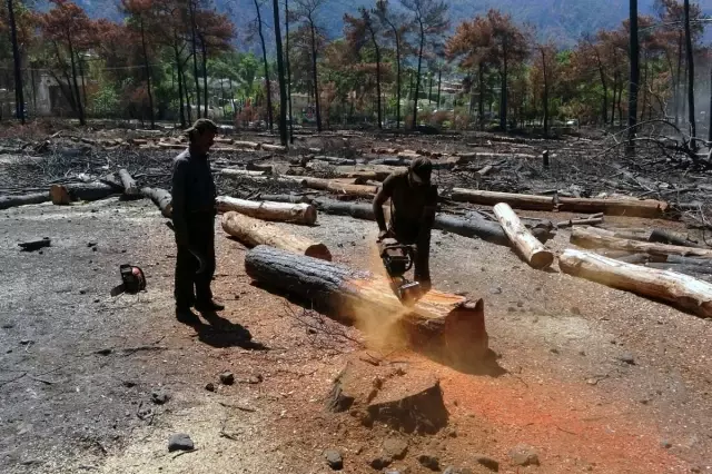 Ahşap paletçilerin ham madde tedirginliği