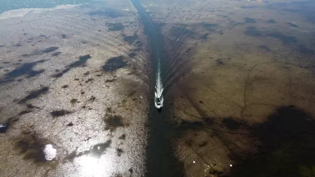 Beyşehirli balıkçılar Çin sazanıyla yurt dışına açıldı