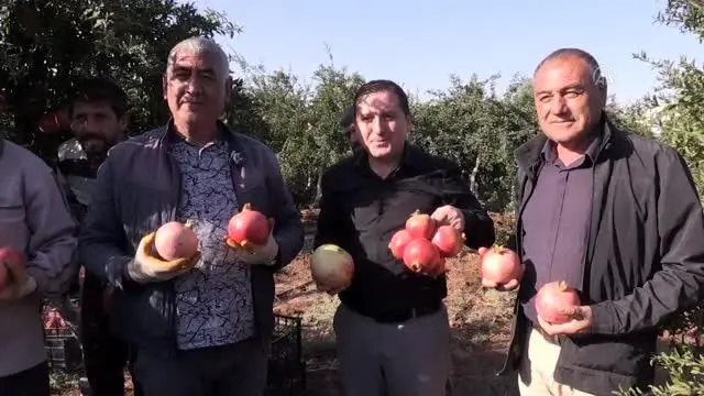 Hicaz narı Avrupa ülkeleri ve Irak'a ihraç edilecek