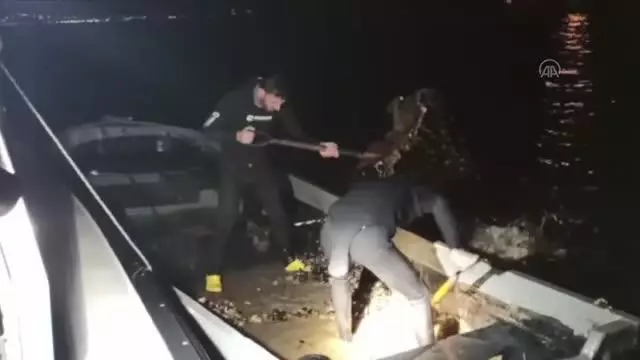 İzmit Körfezi'nde yasa dışı avlanan 150 kilogram midye denize bırakıldı