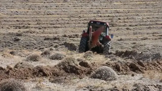 Milli Ağaçlandırma Günü kapsamında 729 bin fidan dikilecek