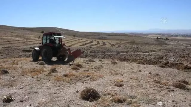 Milli Ağaçlandırma Günü kapsamında 729 bin fidan dikilecek