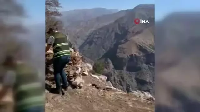Siirt'te kaçak avcıların kurduğu tuzaklar yıkıldı