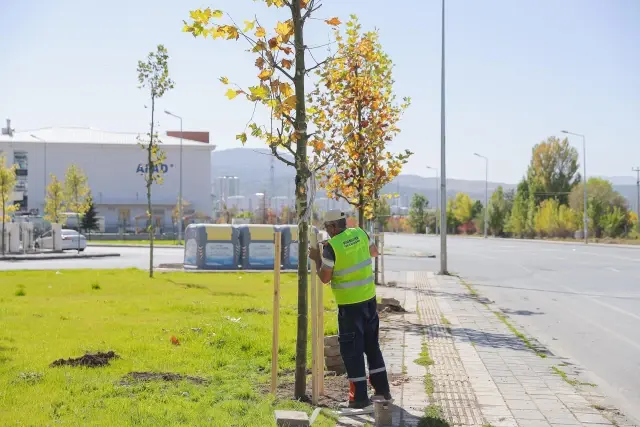 BAŞKANIMIZ BİLGİN, 5 BİNİNCİ AĞACI TOPRAKLA BULUŞTURDU...