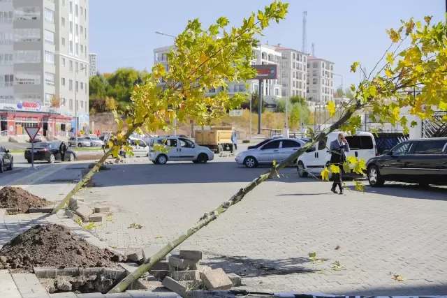 BAŞKANIMIZ BİLGİN, 5 BİNİNCİ AĞACI TOPRAKLA BULUŞTURDU...
