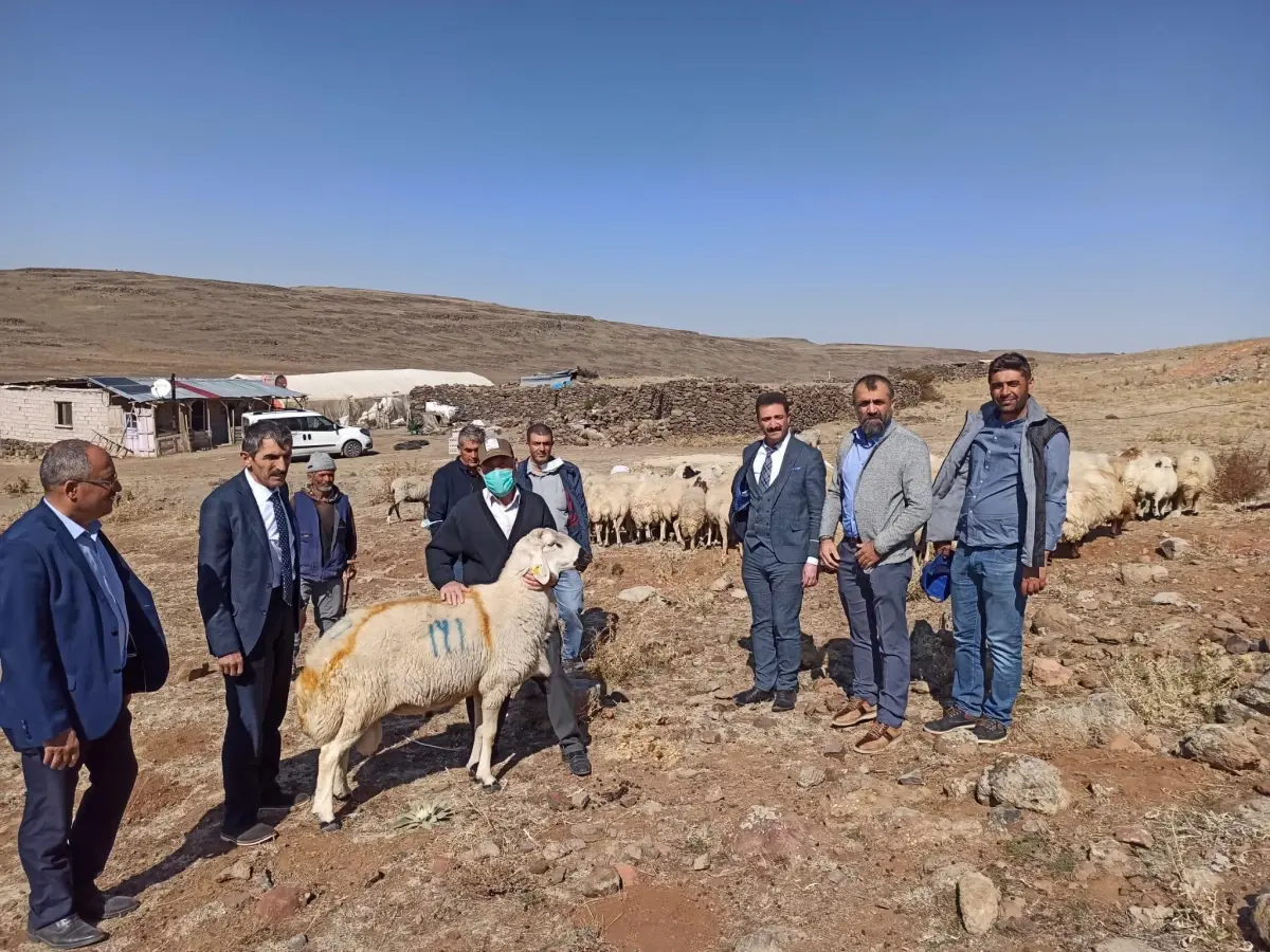 Akçadağ'da küçükbaş hayvan yetiştiricileri için sondaj çalışması yapılacak