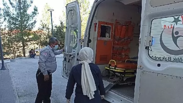 BATMAN'DA 250 DÖNÜM AĞAÇLIK ALAN YANDI