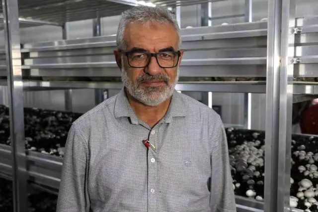 10 milyon lira sermayeyle mantar üretim tesisi kurdu! Masraflar hariç aylık 650 bin lira kazanıyor