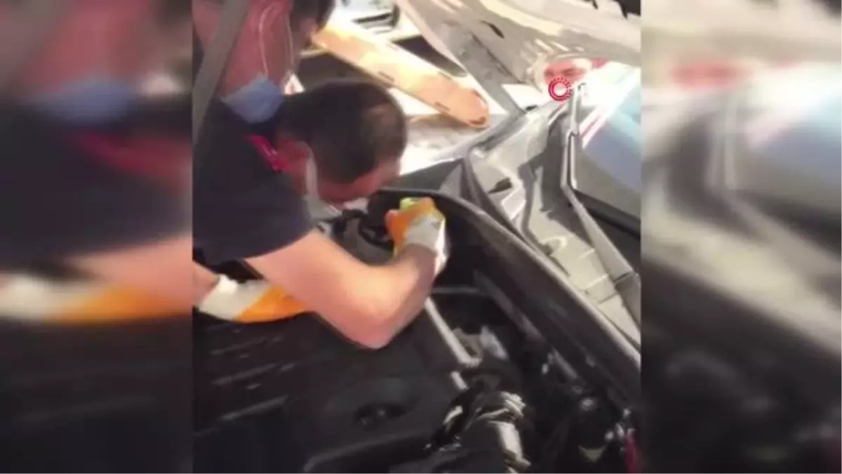 Bucak'ta otomobil motoruna giren yavru kedi ekipleri seferber etti