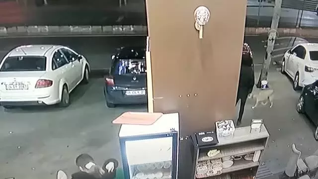 Büyükçekmece'de bıçaklanan köpeğe müdahale anı güvenlik kamerasına yansıdı
