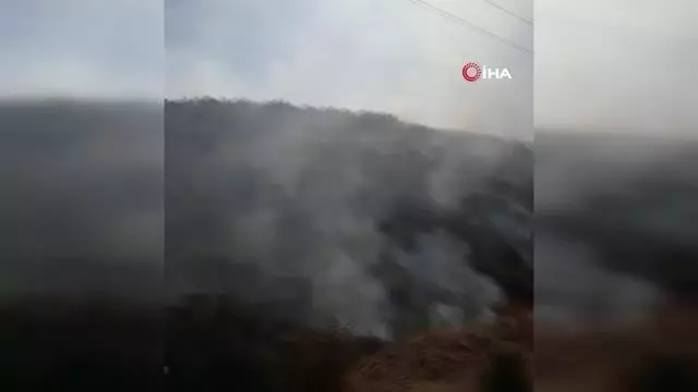 Gercüş'te çıkan yangında 250 dönümlük alan hasar gördü