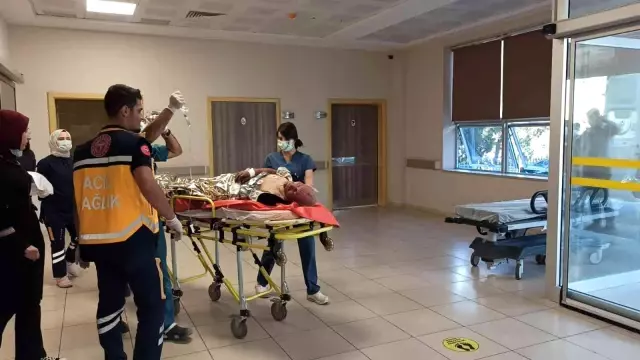 Gercüş'te çıkan yangında 250 dönümlük alan hasar gördü