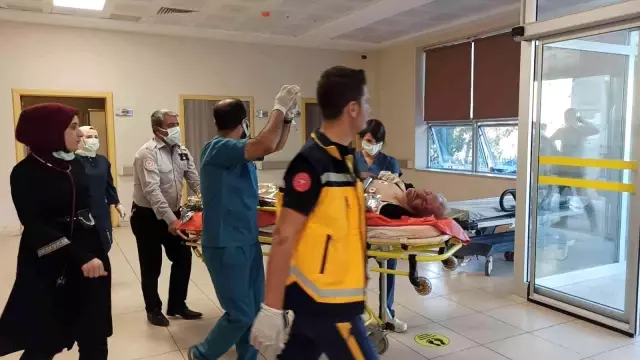 Gercüş'te çıkan yangında 250 dönümlük alan hasar gördü